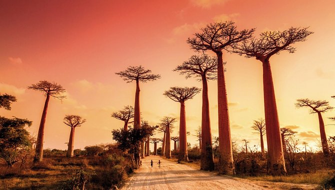 sights-of-madagascar